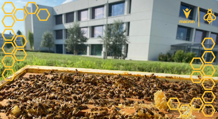 apicolturaurbana.it, un nuovo step del progetto Macron 4 the Planet