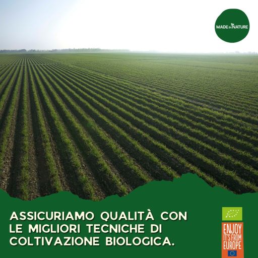 Made in Nature: il frutteto a zero emissioni apre a Bologna, in collaborazione con Caab e Cucine Popolari