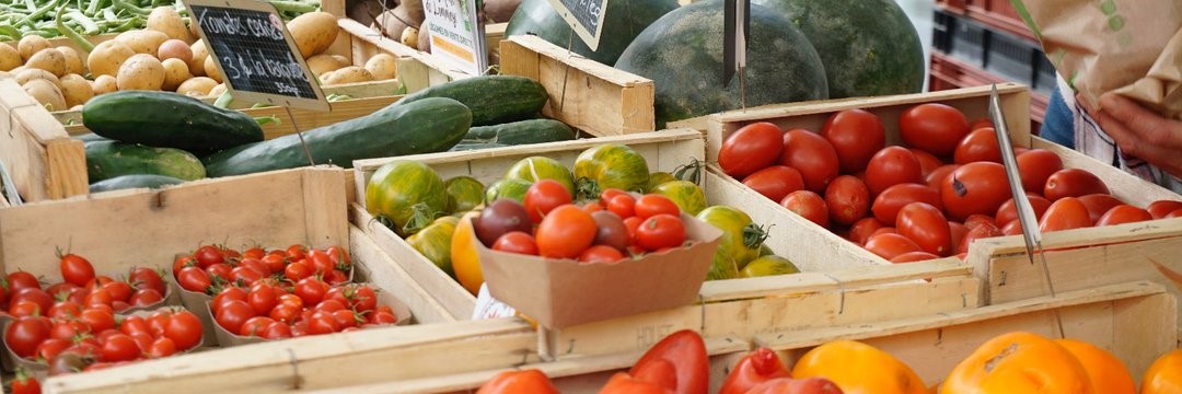 Agroalimentare più sostenibile? Ci pensa Mats