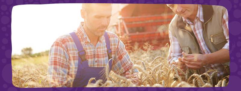 Mondelez è riconosciuta Caring Company 2022