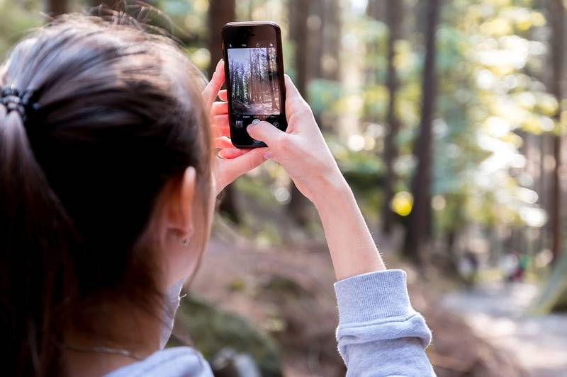 Scatta il bosco: su Instagram il concorso fotografico di Pefc per raccontare le foreste italiane