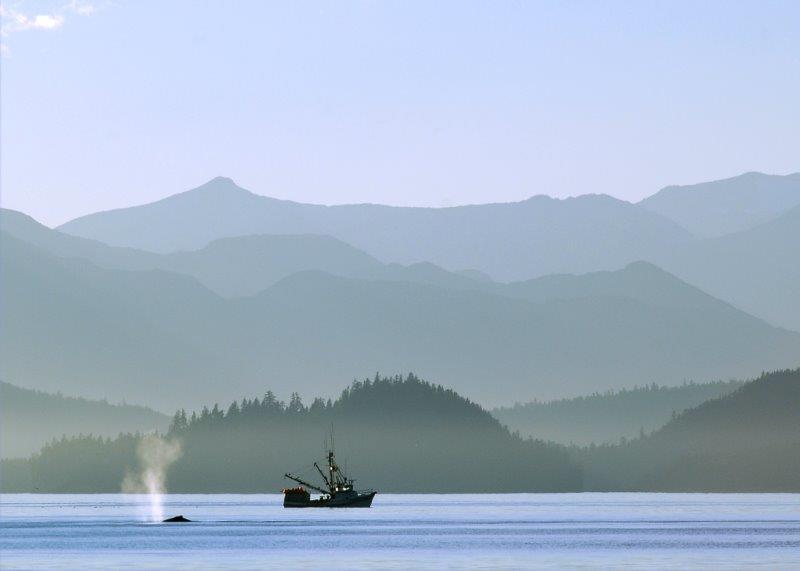 Alaska, passione per la pesca, rispetto per gli oceani