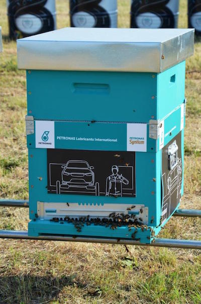 Petronas si unisce a “Bee My Job”, un progetto per promuovere l’inclusività e valorizzare le diversità