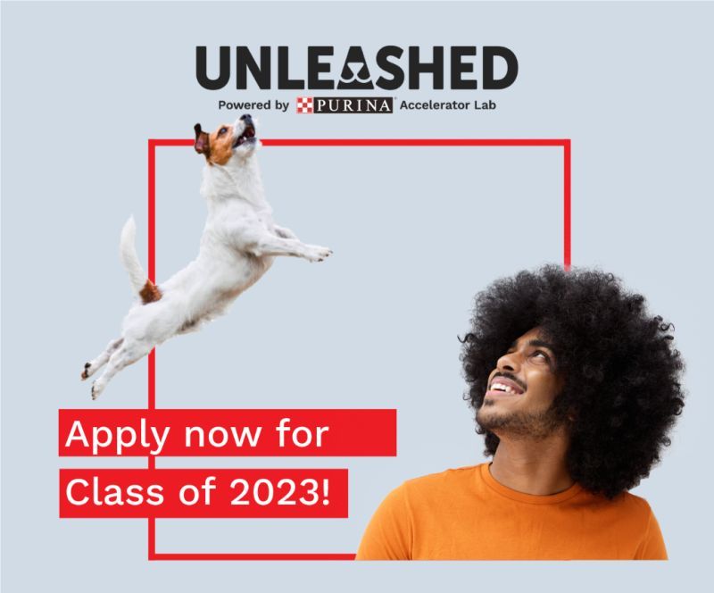 Parte la nuova edizione di Purina Unleashed, l'incubatore per trovare le startup del petcare più innovative