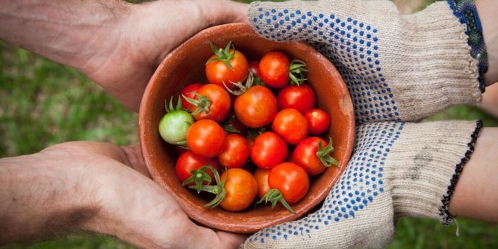 Assosementi lancia un progetto per la tracciabilità dei prodotti ortofrutticoli a tutela di consumatori e aziende produttrici