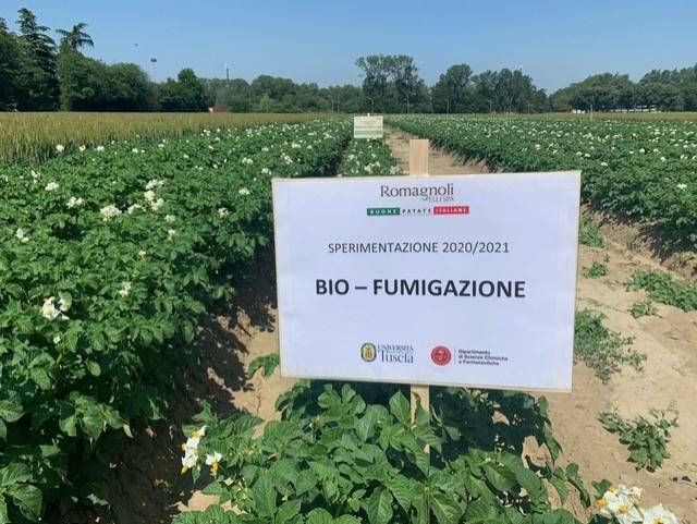 Romagnoli F.lli: proseguono le sperimentazioni in campo nel segno dell’agricoltura sostenibile