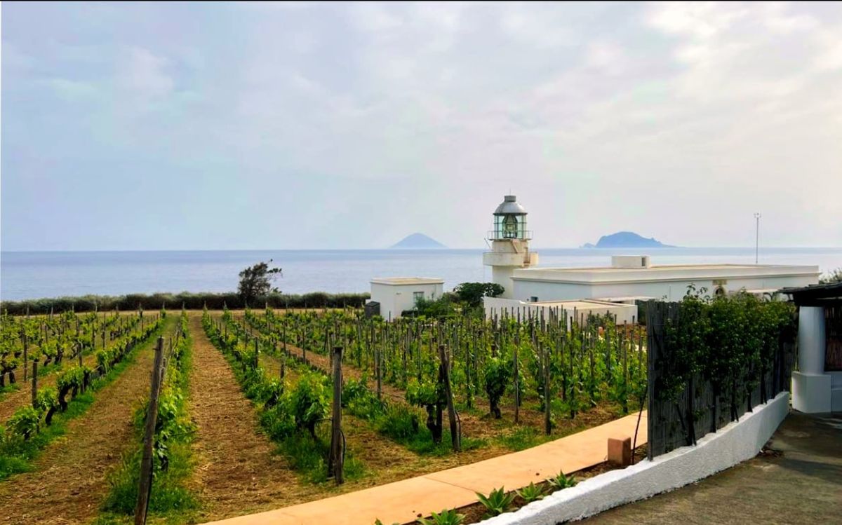 La migliore campagna di marketing di turismo enogastronomico 2022 è il progetto ideato dal SalinaDocFest con il sostegno della Regione Siciliana