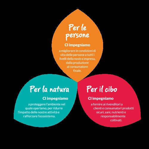The Dole Way, l'impegno per la sostenibilità di Dole