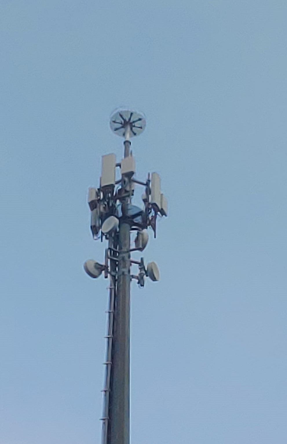 Le cicogne scelgono una torre di Inwit come nuovo nido