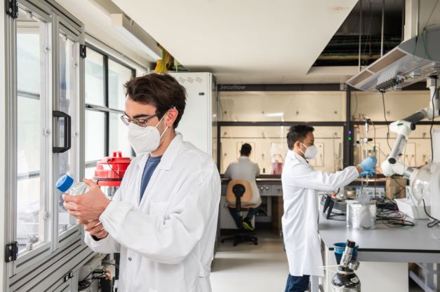L'Università di Bolzano è alla ricerca di biomasse da valorizzare con il progetto Alps4GreenC