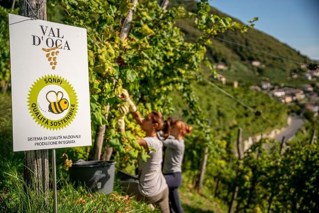 Certificazione Equalitas per la Cantina Produttori di Valdobbiadene - Val D'Oca