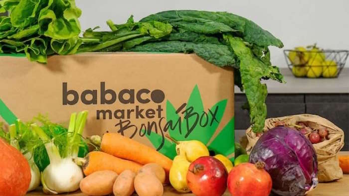 Osservatorio Babaco Market e Bva-Doxa: cresce l’attenzione verso la sostenibilità della spesa alimentare