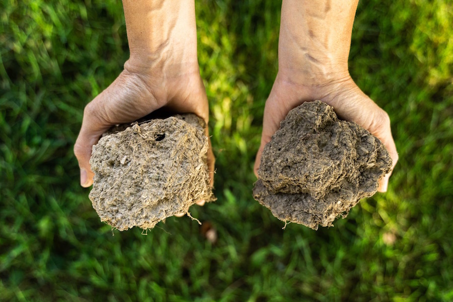 It's Bio: l’importanza dell’agricoltura biologica per limitare l’impatto del cambiamento climatico