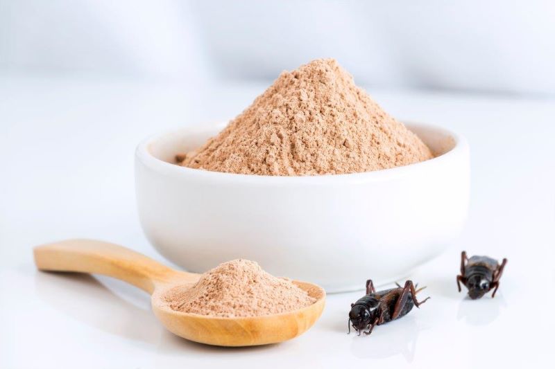 Tüv Italia e i novel food: l'importanza del controllo delle tracce allergeniche