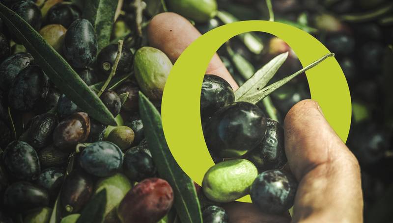 Nutri-Score e Nutrinform Battery: due sistemi a confronto e il caso dell’olio Evo