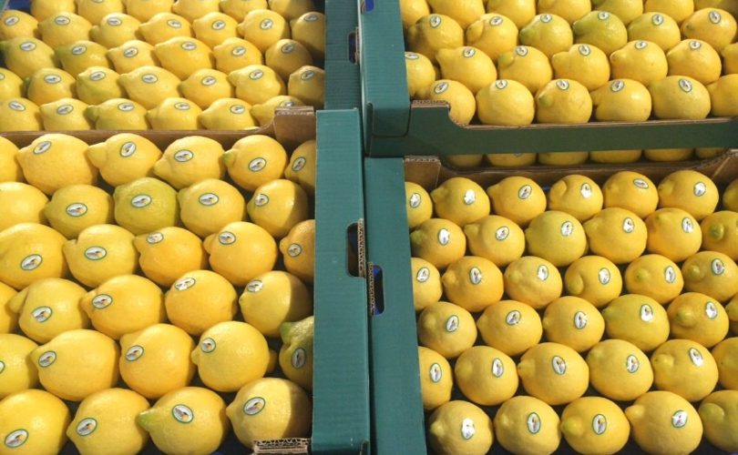 Il limone è uno dei frutti più acquistati in Italia e l’identità territoriale è vincente