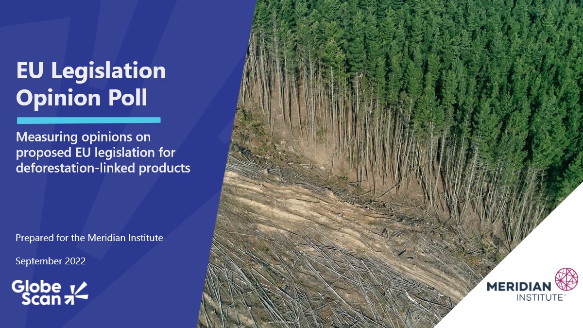 Il parlamento europeo vota contro i prodotti della deforestazione
