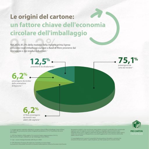 Il ruolo del packaging a base di fibra nell'economia circolare