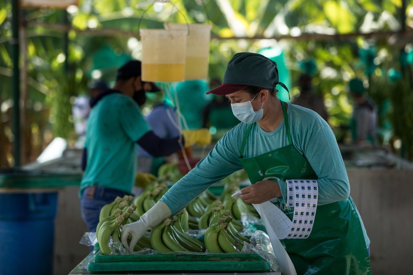 Fairtrade pubblica una mappa globale sui rischi di violazione dei diritti umani e dell’ambiente