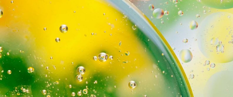 Nuova ricerca Team Lewis: l'ambiente è tra le priorità della Generazione Z