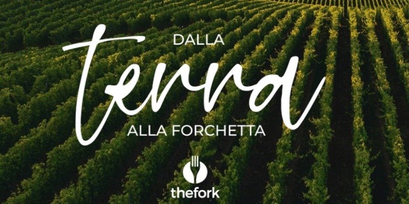 "Dalla terra alla forchetta": gli italiani sono sempre più sostenibili, anche a tavola