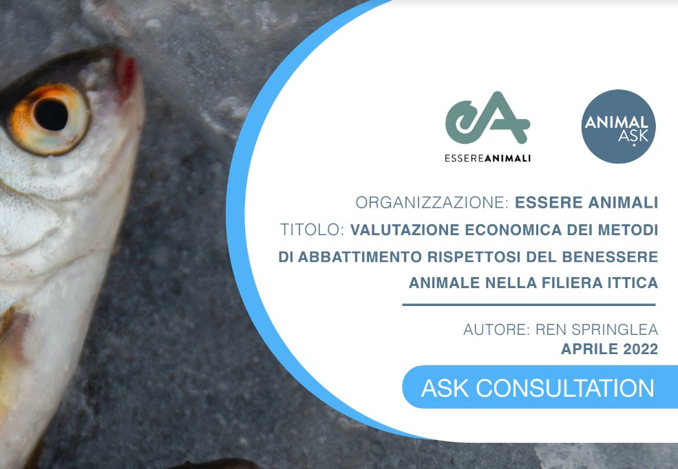 Parte Aquafarm, "acquacoltura sostenibile": un nuovo report dimostra che il benessere animale è ancora trascurato