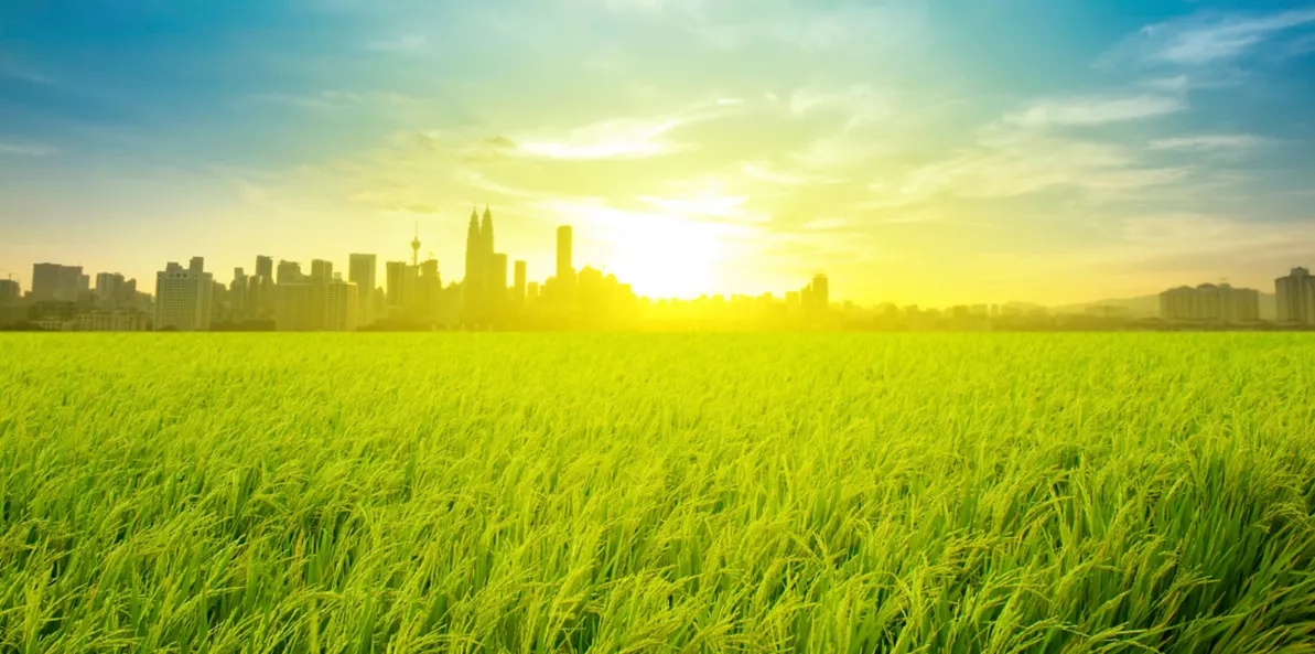 Sprechi alimentari: come l'innovazione può ridurli