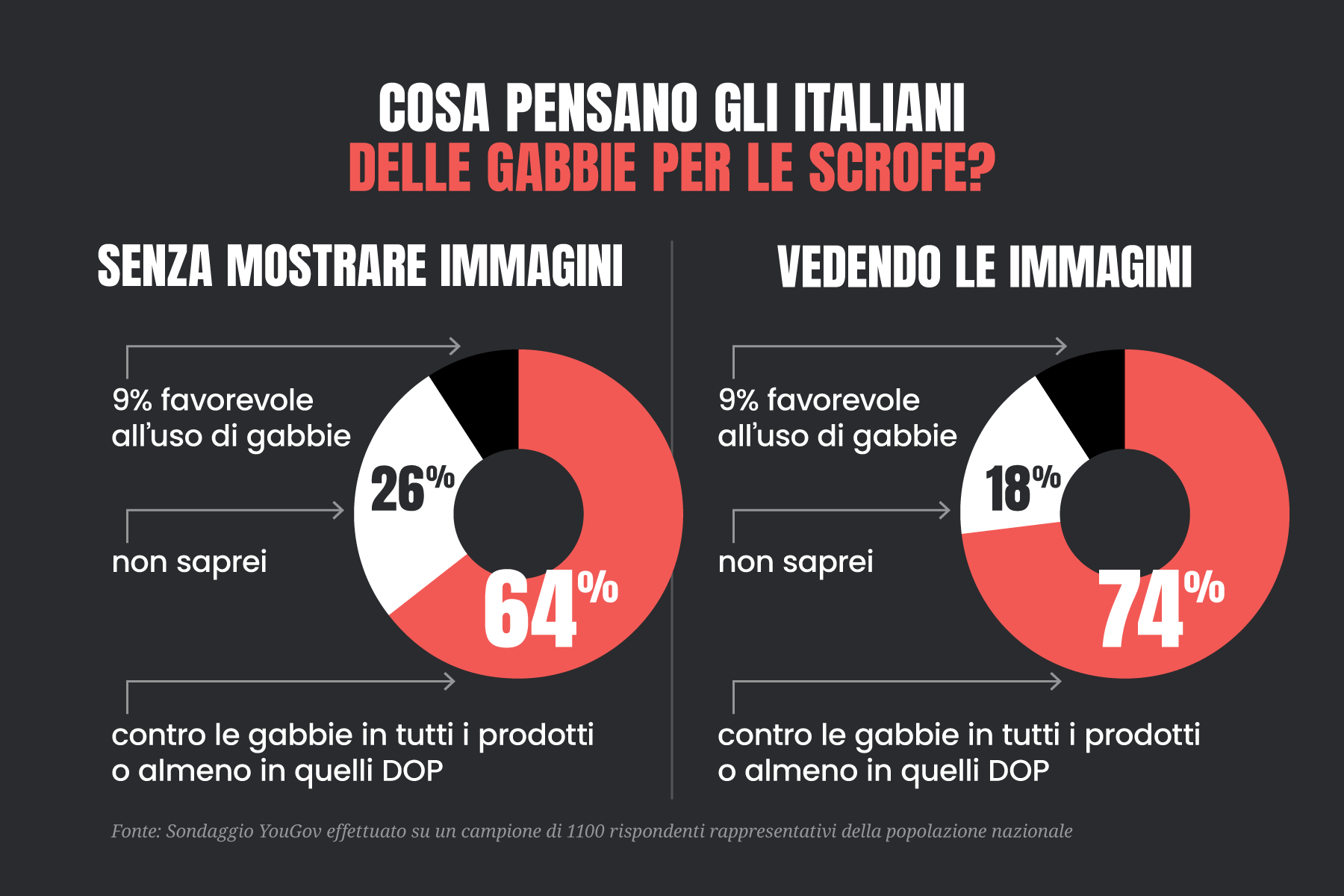 Nuovo sondaggio YouGov: la maggioranza degli italiani è contro le gabbie per le scrofe
