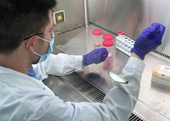 Covid-19: cresce la richiesta di materiali antimicrobici