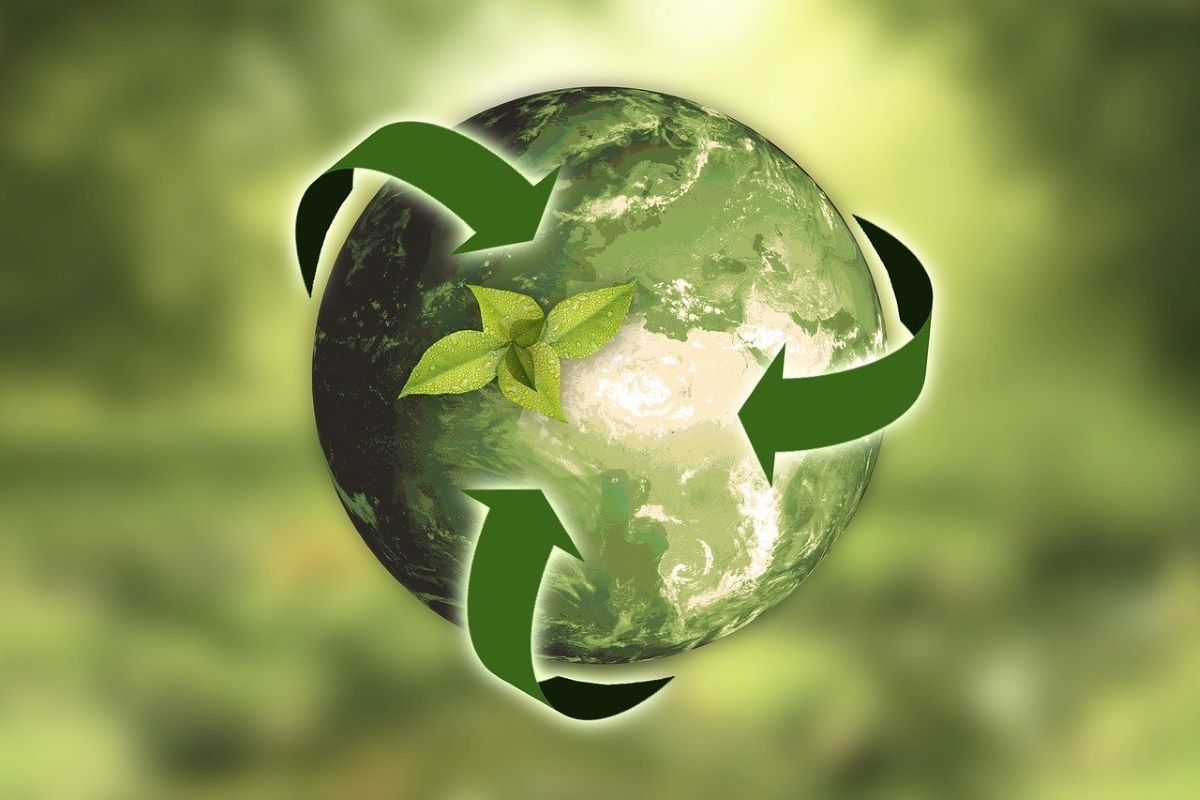 Green IT: l’importanza di un pensiero integrato