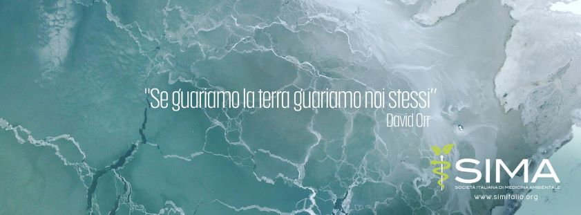 Nautica: sempre più barche si convertono all’elettrico