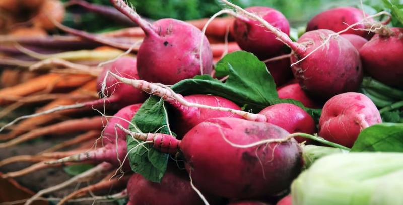 No allo spreco nei campi, etichette consapevoli, box alimentari: così NaturaSì si impegna per recuperare il cibo