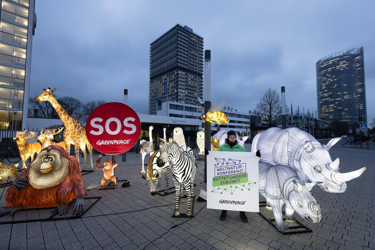 Approvata la legge Ue contro la deforestazione