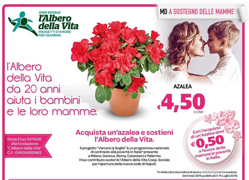 MD insieme a L’albero della Vita Onlus per sostenere mamme e bambini
