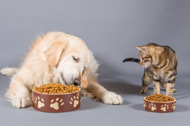 E' boom per il mercato globale del pet food