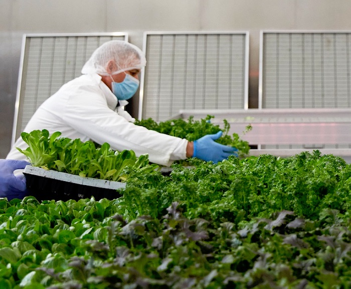 Green Retail  - Agricola Moderna: giusta la richiesta Ue di riduzione dei pesticidi in agricoltura tradizionale 