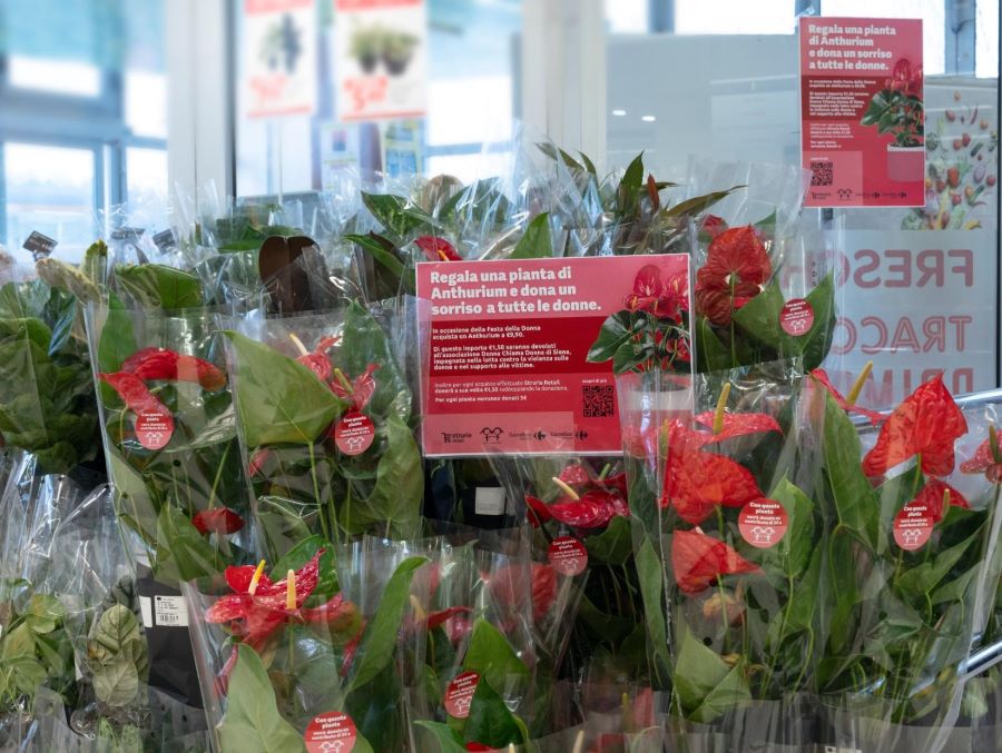 Festa della donna, da Etruria Retail una pianta contro la violenza