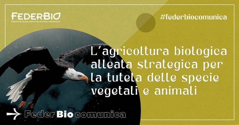Le associazioni del bio esultano: il Senato ha approvato la legge sul biologico