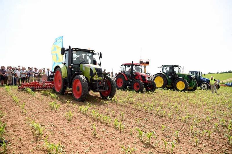 FederBio: è online l’elenco dei mezzi tecnici utilizzabili in agricoltura biologica