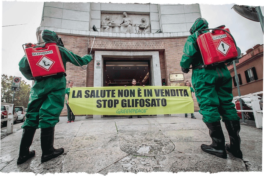Greenpeace sul rinnovo del glifosato: «si è persa l’occasione per vietare questo pericoloso erbicida»