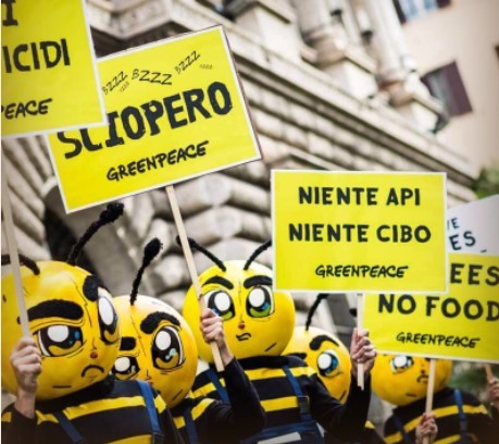 Greenpeace: una nuova strage silenziosa di api, oltre 12 milioni scomparse a causa dei pesticidi