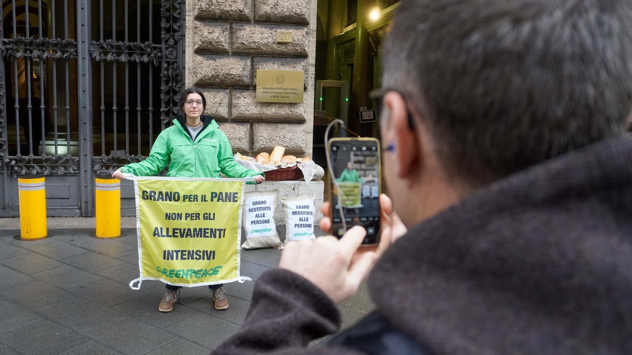 Greenpeace regala al ministro dell’agricoltura Lollobrigida il pane prodotto con grano altrimenti destinato agli allevamenti intensivi
