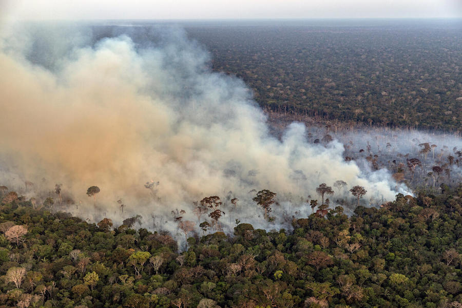 Green Retail  - Greenpeace: ancora troppi incendi in Amazzonia, +5,3% rispetto a un anno fa 