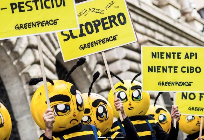 L'Olanda riduce del 30% gli animali allevati per proteggere l’ambiente