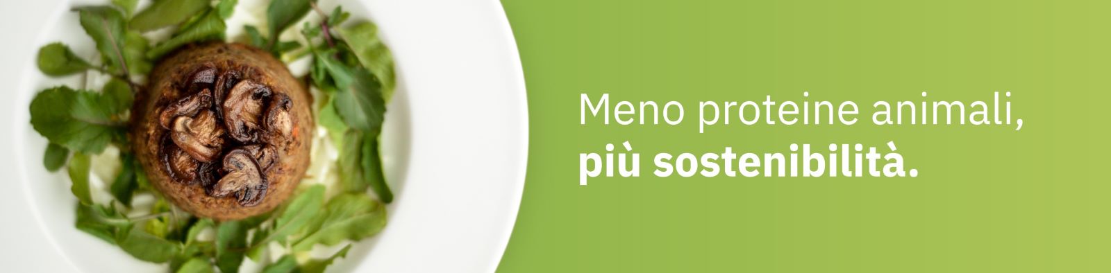 Sono più di 100 i professori universitari che chiedono mense sostenibili