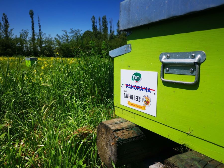 Pam Panorama continua il suo impegno per la tutela dell’ambiente