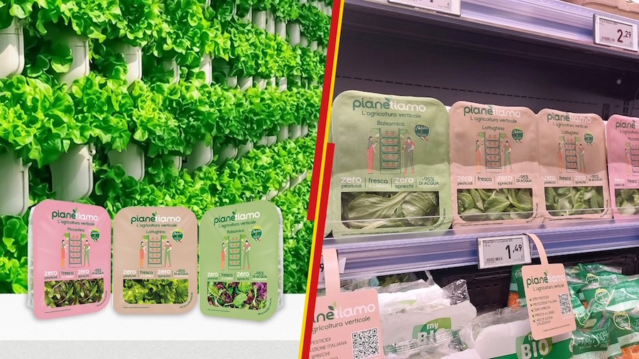 Con “pianetiamo” Penny Italia investe nell’agricoltura sostenibile