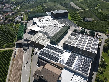 Green Retail  - Conad Nord Ovest e Fondazione Conad portano a Firenze il Progetto Scuola 2024 